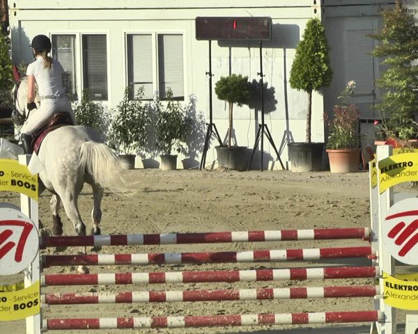 Reitturnier Hauerz 2019