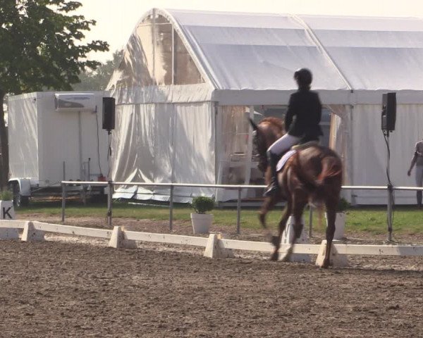 Reitturnier Heinsberg 2019