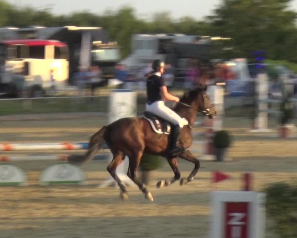Reitturnier Heinsberg 2019