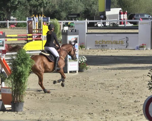 Reitturnier Hauerz 2019