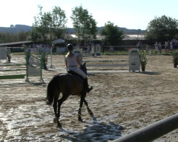 Reitturnier Bühren-Breckerfeld 2019