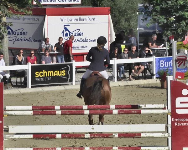 Reitturnier Hauerz 2019
