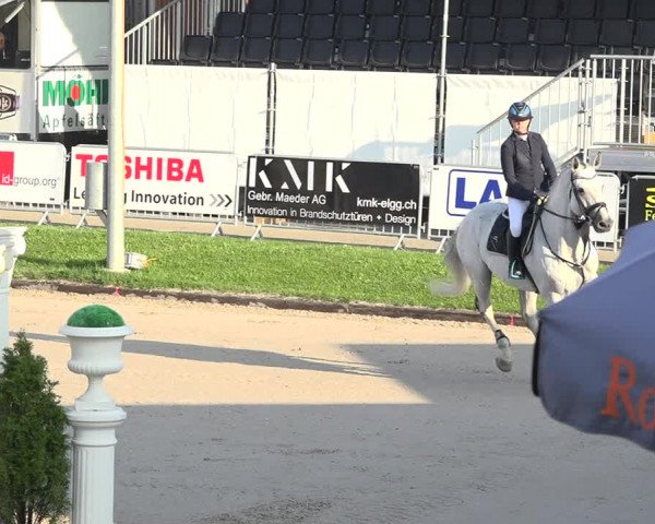 Reitturnier Humlikon 2019