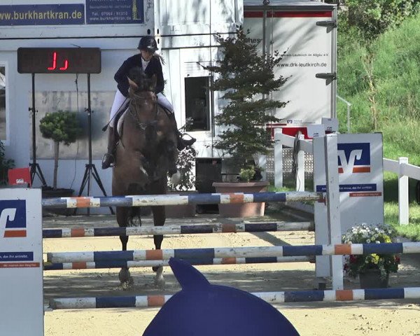 Reitturnier Hauerz 2019