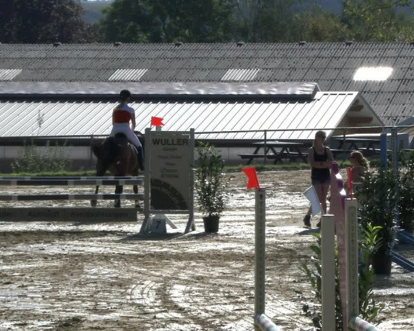 Reitturnier Bühren-Breckerfeld 2019