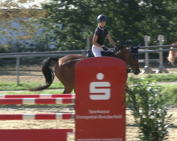 Reitturnier Bühren-Breckerfeld 2019