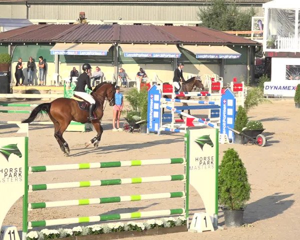 Reitturnier Humlikon 2019