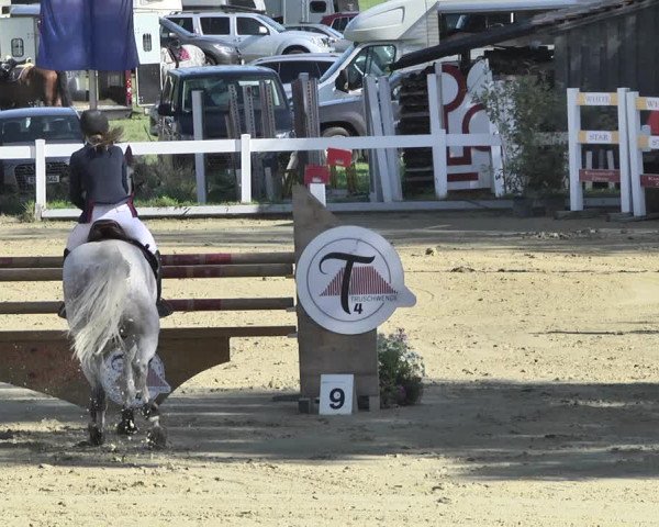 Reitturnier Hauerz 2019