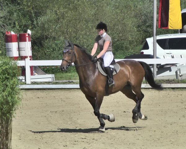 Reitturnier Hauerz 2019