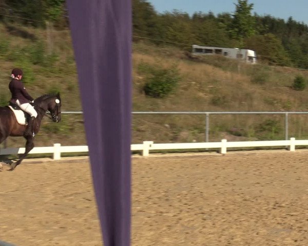 Reitturnier Bühren-Breckerfeld 2019