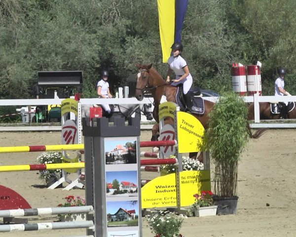 Reitturnier Hauerz 2019