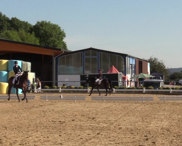 Reitturnier Bühren-Breckerfeld 2019