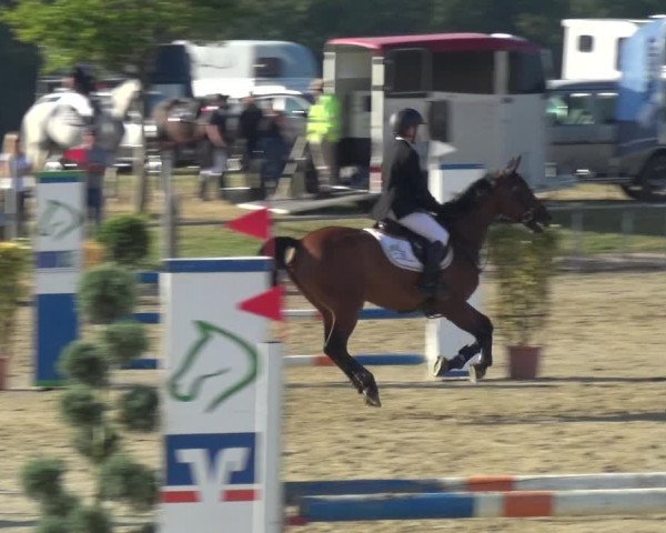 Reitturnier Heinsberg 2019
