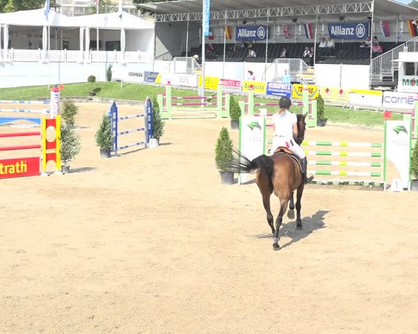 Reitturnier Humlikon 2019