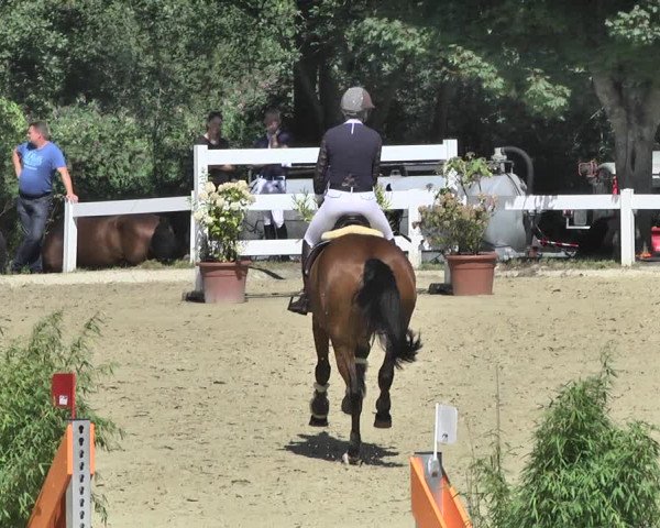 Reitturnier Hauerz 2019
