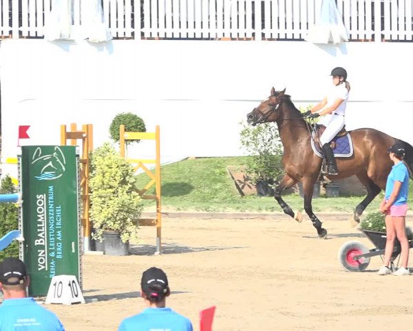 Reitturnier Humlikon 2019