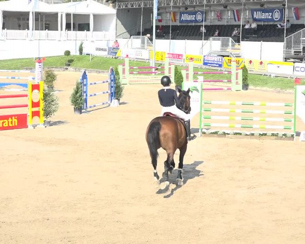 Reitturnier Humlikon 2019