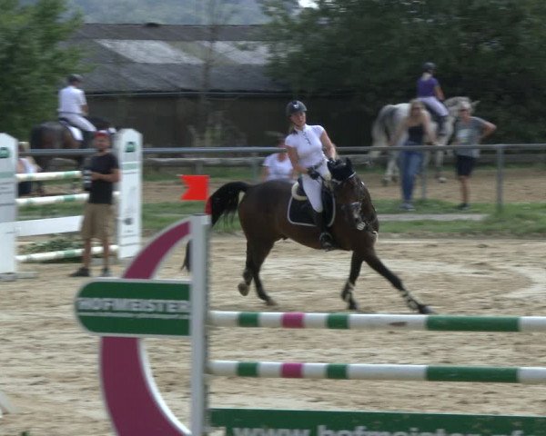 Reitturnier Bühren-Breckerfeld 2019