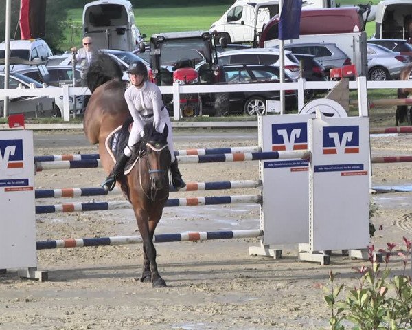 Reitturnier Hauerz 2019