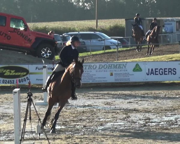 Reitturnier Heinsberg 2019