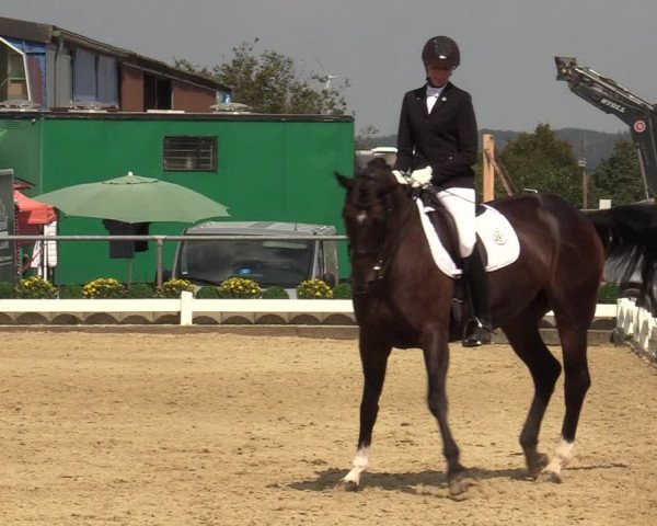 Reitturnier Bühren-Breckerfeld 2019