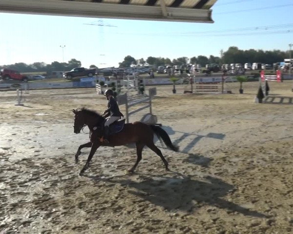 Reitturnier Heinsberg 2019