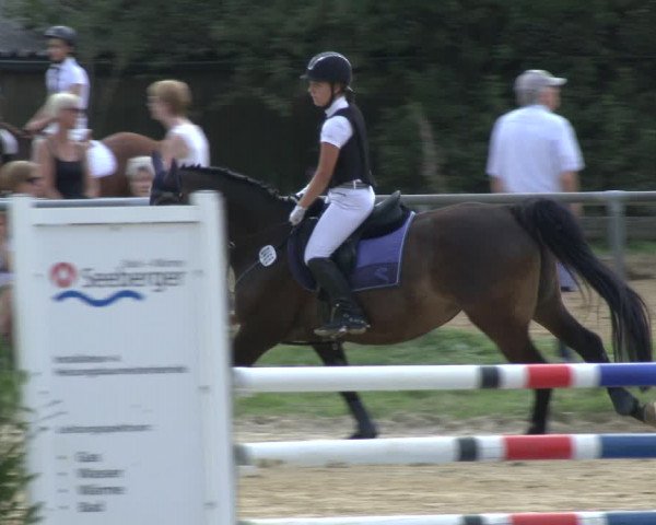 Reitturnier Bühren-Breckerfeld 2019