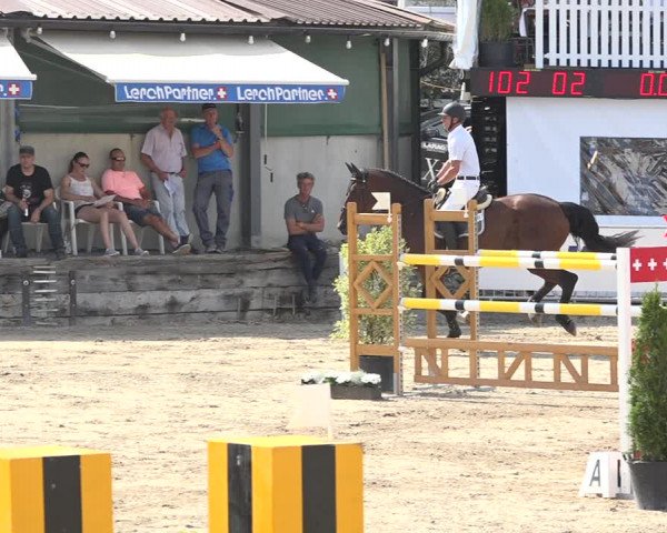 Reitturnier Humlikon 2019