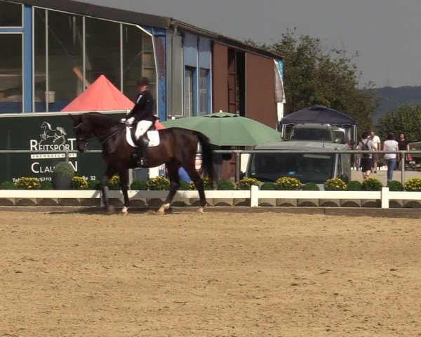 Reitturnier Bühren-Breckerfeld 2019