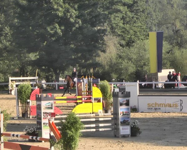 Reitturnier Hauerz 2019