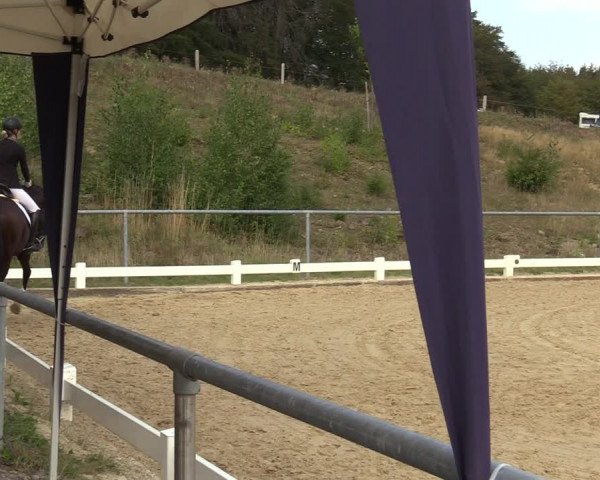 Reitturnier Bühren-Breckerfeld 2019