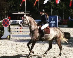 jumper Cortez 74 (Hungarian Warmblood, 2009)