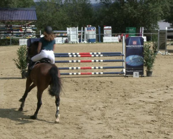 Reitturnier Bühren-Breckerfeld 2019