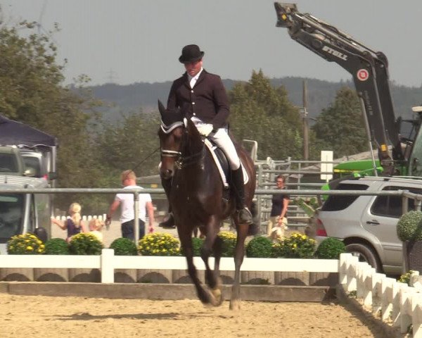 Reitturnier Bühren-Breckerfeld 2019