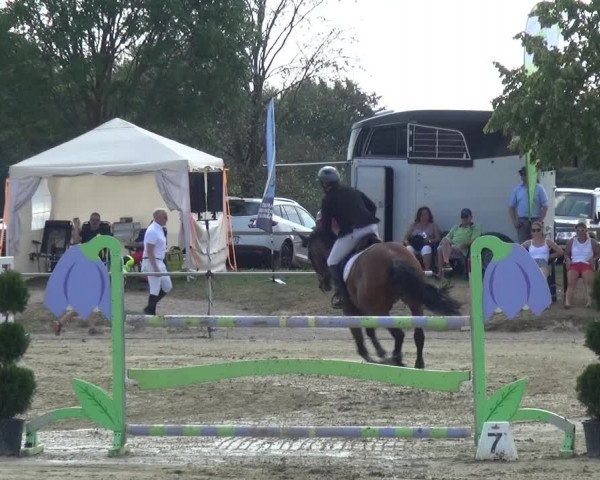 Reitturnier Heinsberg 2019