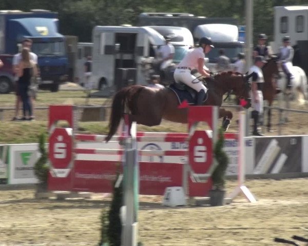 Reitturnier Heinsberg 2019