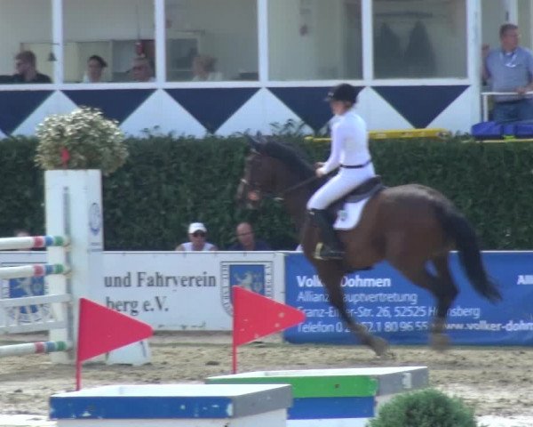 Reitturnier Heinsberg 2019