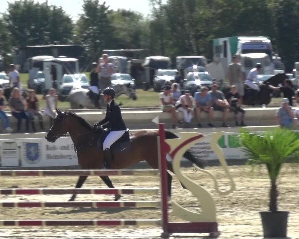 Reitturnier Heinsberg 2019