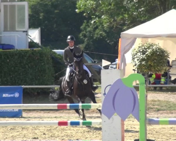 Reitturnier Heinsberg 2019