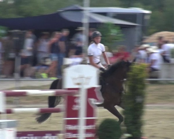 Reitturnier Heinsberg 2019