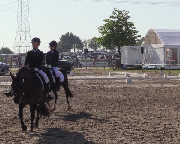 Reitturnier Heinsberg 2019