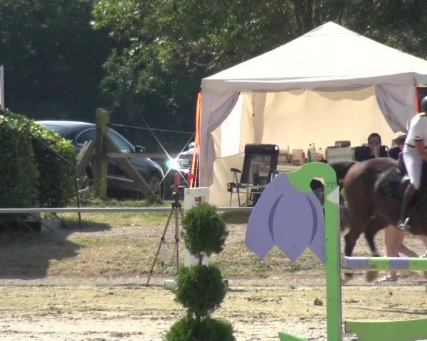 Reitturnier Heinsberg 2019