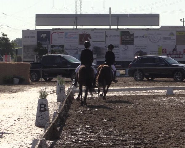 Reitturnier Heinsberg 2019