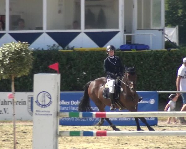 Reitturnier Heinsberg 2019