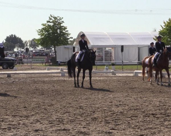 Reitturnier Heinsberg 2019