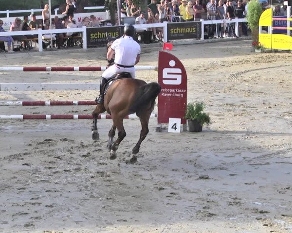 Reitturnier Hauerz 2019