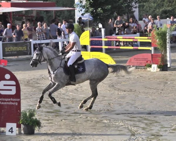 Reitturnier Hauerz 2019
