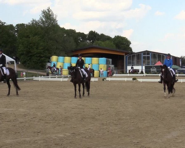 Reitturnier Bühren-Breckerfeld 2019