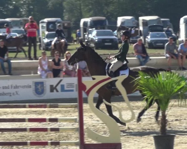 Reitturnier Heinsberg 2019