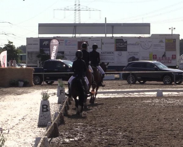 Reitturnier Heinsberg 2019